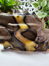 Load image into Gallery viewer, Septarian Dragon Head (LARGE)