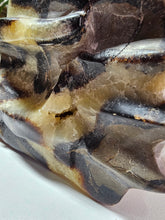 Load image into Gallery viewer, Septarian Dragon Head (LARGE)