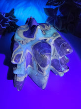 Load image into Gallery viewer, Septarian Dragon Head (LARGE)