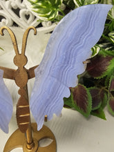 Load image into Gallery viewer, Blue Lace Agate Butterfly Wings
