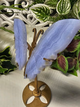 Load image into Gallery viewer, Blue Lace Agate Butterfly Wings