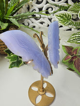 Load image into Gallery viewer, Blue Lace Agate Butterfly Wings