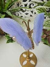 Load image into Gallery viewer, Blue Lace Agate Butterfly Wings