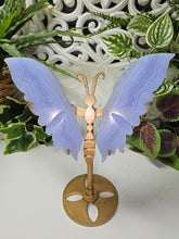 Load image into Gallery viewer, Blue Lace Agate Butterfly Wings