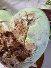 Load image into Gallery viewer, Lemon Lime Chrysophrase (WA)