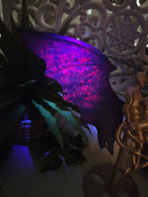 Load image into Gallery viewer, Ruby in Kyanite Angel & Demon Wings