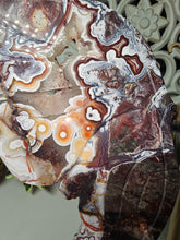 Load image into Gallery viewer, Mexican Crazy Lace Butterfly Wings on Stand