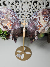 Load image into Gallery viewer, Mexican Crazy Lace Butterfly Wings on Stand