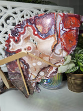 Load image into Gallery viewer, Mexican Crazy Lace Butterfly Wings on Stand