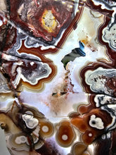 Load image into Gallery viewer, Mexican Crazy Lace Butterfly Wings on Stand