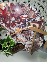 Load image into Gallery viewer, Mexican Crazy Lace Butterfly Wings on Stand