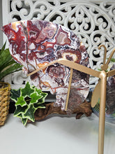 Load image into Gallery viewer, Mexican Crazy Lace Butterfly Wings on Stand