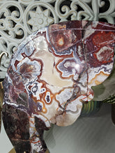 Load image into Gallery viewer, Mexican Crazy Lace Butterfly Wings on Stand