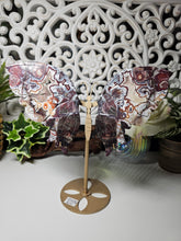 Load image into Gallery viewer, Mexican Crazy Lace Butterfly Wings on Stand