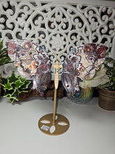Load image into Gallery viewer, Mexican Crazy Lace Butterfly Wings on Stand