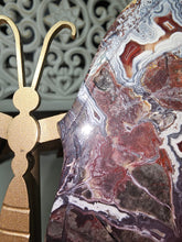 Load image into Gallery viewer, Mexican Crazy Lace Butterfly Wings on Stand