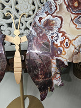 Load image into Gallery viewer, Mexican Crazy Lace Butterfly Wings on Stand
