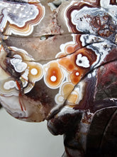 Load image into Gallery viewer, Mexican Crazy Lace Butterfly Wings on Stand