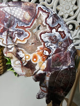 Load image into Gallery viewer, Mexican Crazy Lace Butterfly Wings on Stand