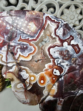 Load image into Gallery viewer, Mexican Crazy Lace Butterfly Wings on Stand