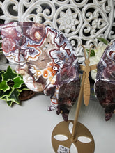 Load image into Gallery viewer, Mexican Crazy Lace Butterfly Wings on Stand