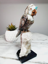 Load image into Gallery viewer, Peruvian Quantum Quartz (Chrysocolla in Quartz) Cockatoo on Clear Quartz Cluster Base