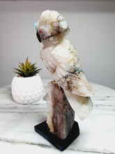 Load image into Gallery viewer, Peruvian Quantum Quartz (Chrysocolla in Quartz) Cockatoo on Clear Quartz Cluster Base