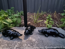 Load image into Gallery viewer, Platypus Black Obsidian Carving