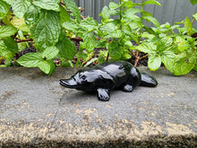 Load image into Gallery viewer, Platypus Black Obsidian Carving