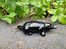 Load image into Gallery viewer, Platypus Black Obsidian Carving