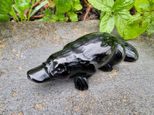 Load image into Gallery viewer, Platypus Black Obsidian Carving