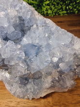 Load image into Gallery viewer, Celestite Raw Freeforms