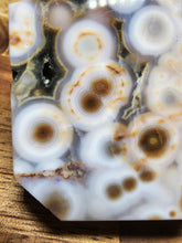 Load image into Gallery viewer, 8th Vein Ocean Jasper Freeform (240)
