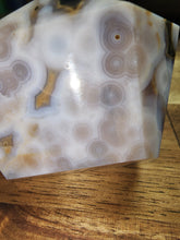 Load image into Gallery viewer, 8th Vein Ocean Jasper Freeform (240)