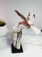 Load image into Gallery viewer, Peruvian Rhodanite Hummingbird on Quartz Cluster Base On White Jade Flower with Serpantine Leaves