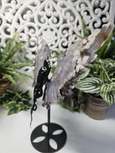 Load image into Gallery viewer, Black Flower Agate Angel &amp; Demon Wings

