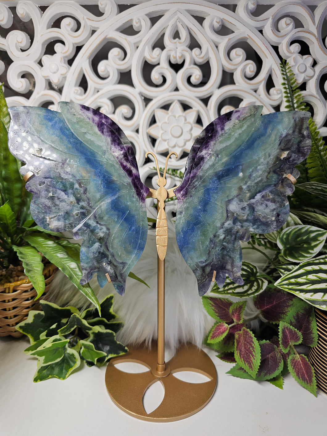 Rainbow Fluorite Butterfly (LARGE) on Stand