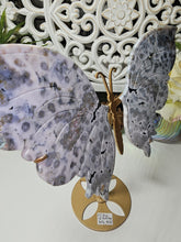 Load image into Gallery viewer, Ocean Jasper, (OBICULARUS) Butterfly Wings on Stand
