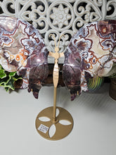 Load image into Gallery viewer, Mexican Crazy Lace Butterfly Wings on Stand
