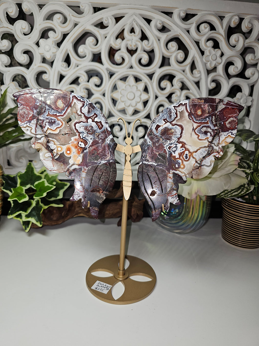Mexican Crazy Lace Butterfly Wings on Stand