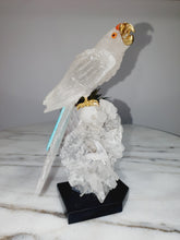 Load image into Gallery viewer, Peruvian Clear Quartz Parrot on Clear Quartz Cluster Base
