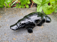 Load image into Gallery viewer, Platypus Black Obsidian Carving
