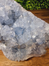 Load image into Gallery viewer, Celestite Raw Freeforms
